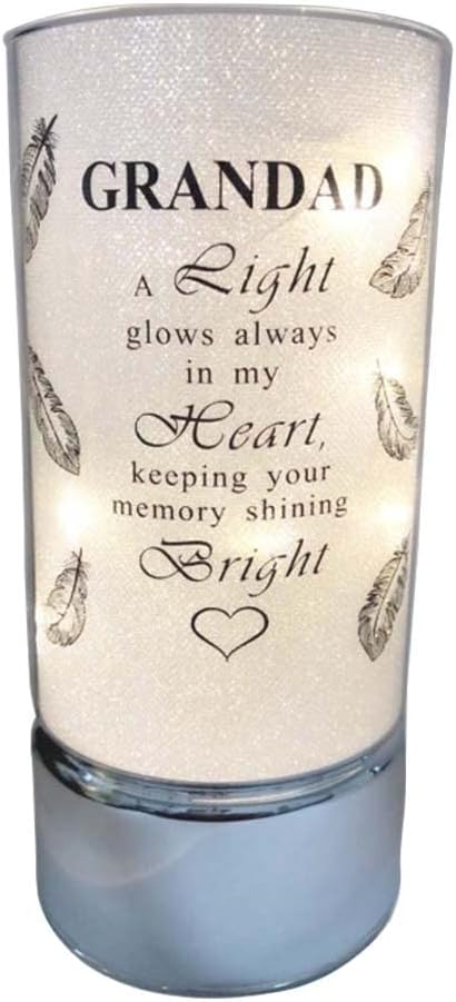 Memorial Light Tubes Ornament, Perfect for Garden and Graveside for any Special Occasion in The Memory of Dad, Mum, Son, Daughter, Husband, Wife, Grandad, Nan, Brother, Sister. (20cm) (Daughter)