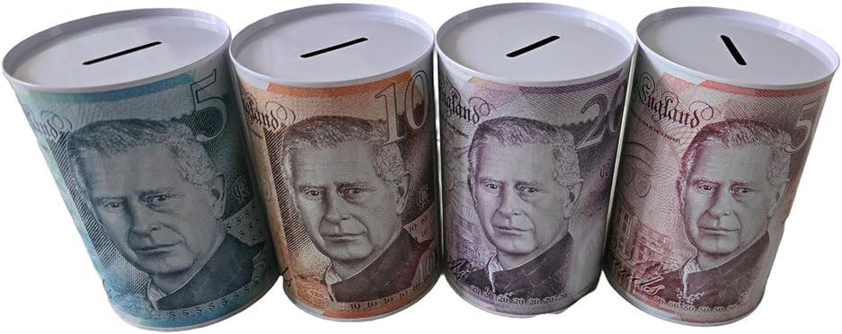 Set of 4 - Pound Note Design Money Tin - Piggy Bank Savings Box for Coins and Cash | Sterling Money Pot Tinplate Saving Money Box |£5 £10 £20 £50 | Size: 15cm x 10cm (King note design)