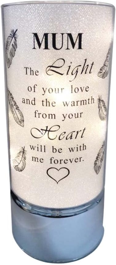 Memorial Light Tubes Ornament, Perfect for Garden and Graveside for any Special Occasion in The Memory of Dad, Mum, Son, Daughter, Husband, Wife, Grandad, Nan, Brother, Sister. (20cm) (Daughter)