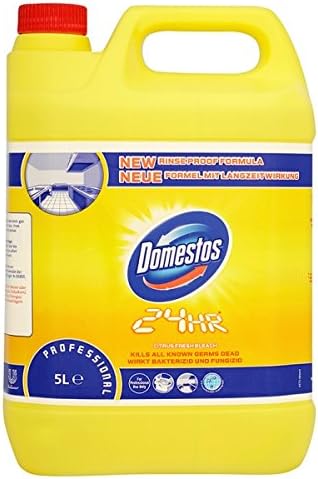 Domestos Professional Bleach Citrus Fresh 5L