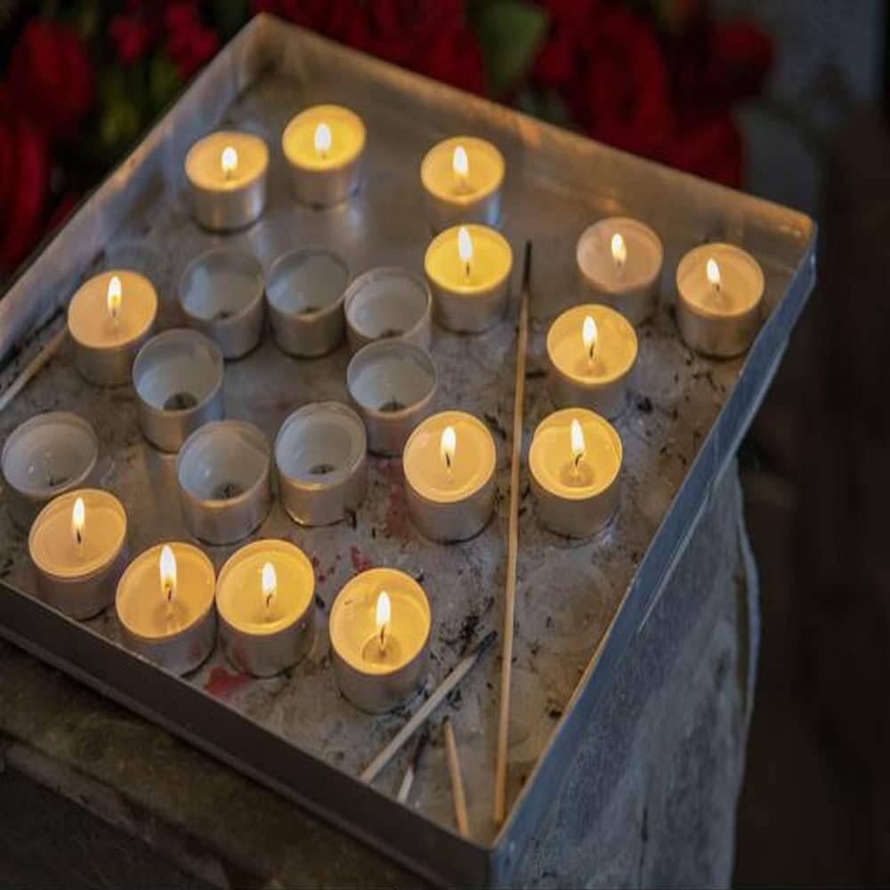 Pride Home & Garden PHG Fresh Scented Tealight Candle 8 Hour Burn Time Long-Lasting Set Fancy Decor Premium Quality (Vanilla and Sandalwood) (PHG-FSTC_8HRS)