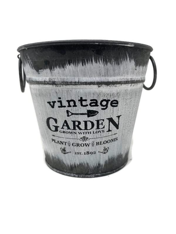 Small Vintage Garden Tin Pail - 12.5 x 14cm - Flower Plant Herb Planter Vase