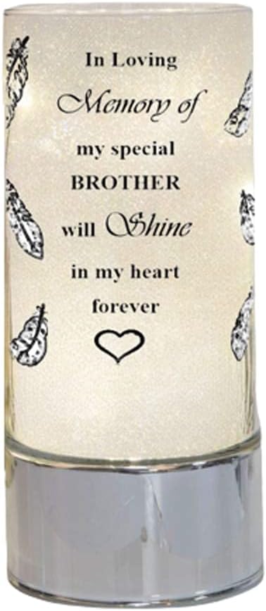Memorial Light Tubes Ornament, Perfect for Garden and Graveside for any Special Occasion in The Memory of Dad, Mum, Son, Daughter, Husband, Wife, Grandad, Nan, Brother, Sister. (20cm) (Daughter)