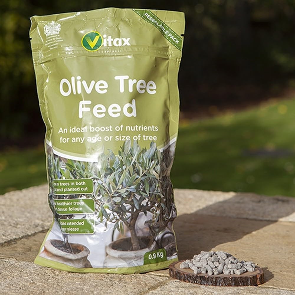Olive Tree Feed, Suitable For Borders, Pots & Containers, Encourages Healthy Growth, Plant Food, and Garden Products – 900 g (Single Pack)