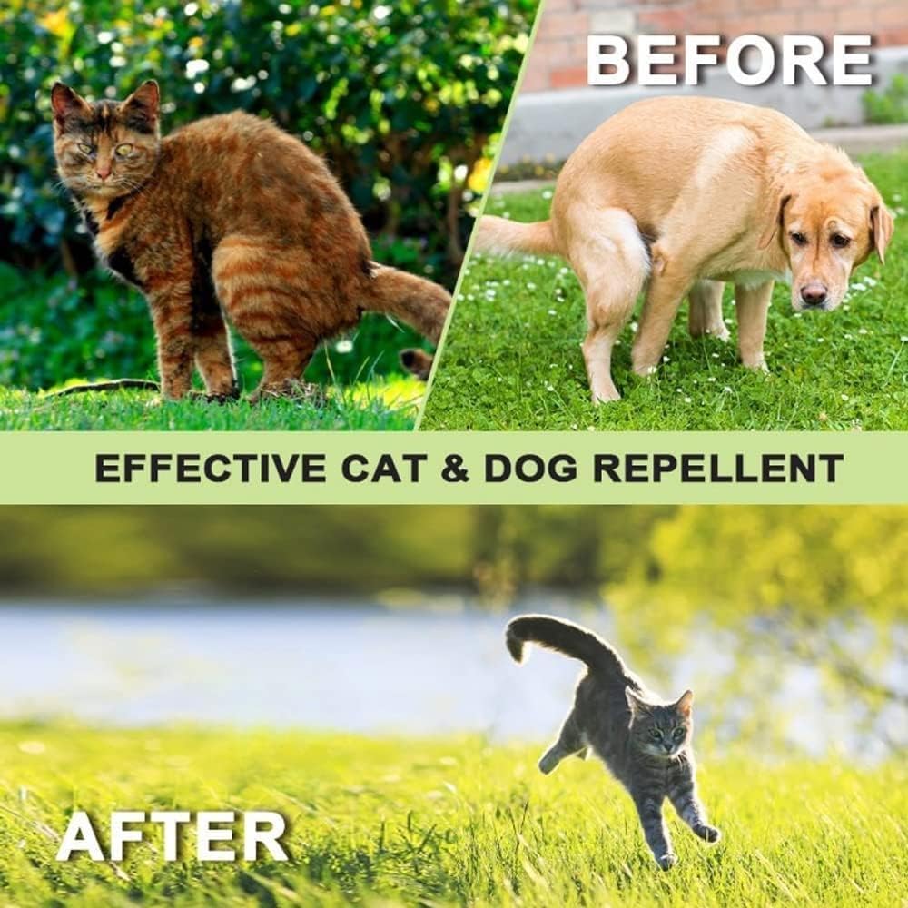 shopior Natural, Non-Toxic Dog and Cat Repellent Granules | Indoor & Outdoor Pet Deterrent for Home & Garden Protection | Highly Effective Cat & Dog Scatter Granules | 240g (Pack of 6)