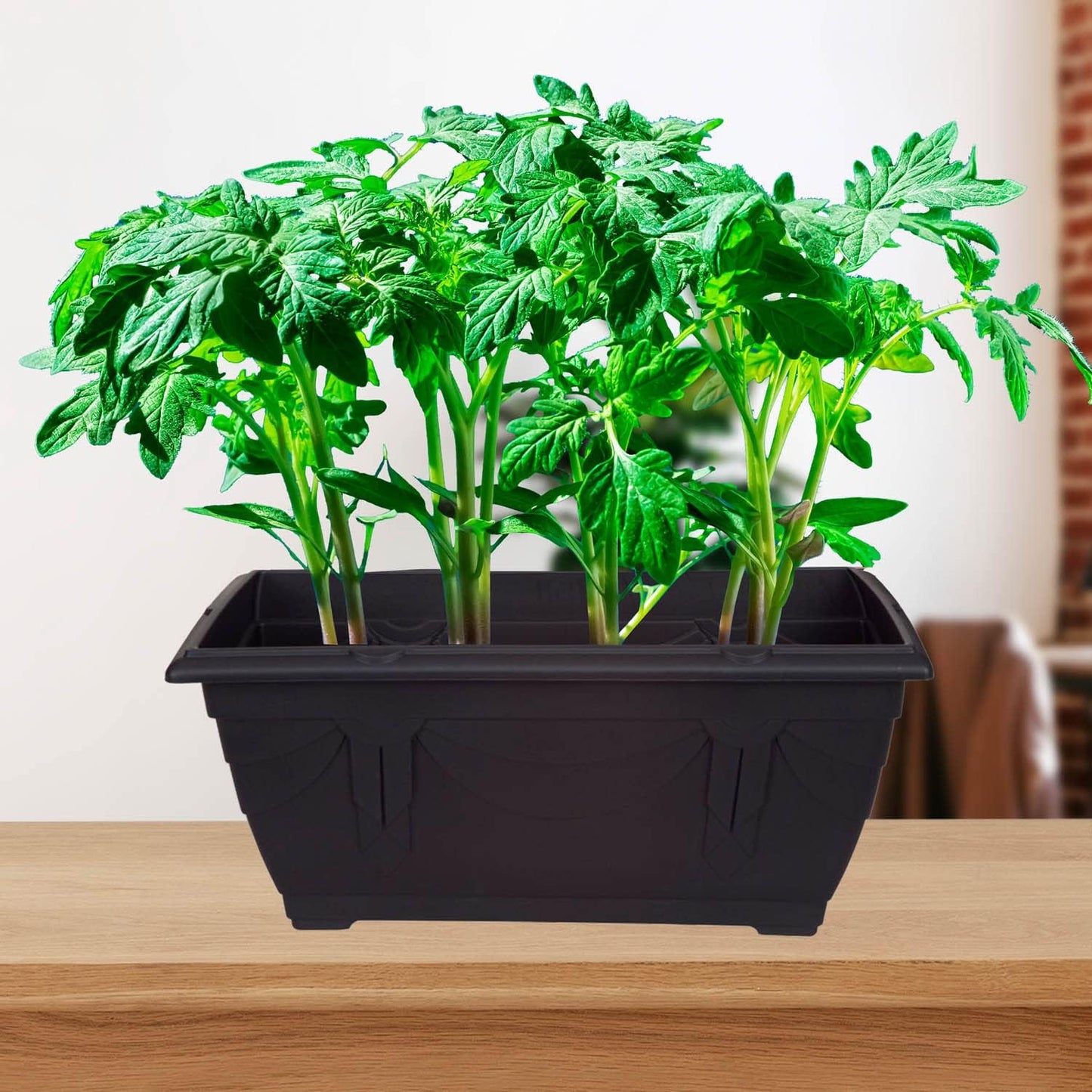 Whitefurze G02064 60cm Venetian Patio Planter - Forest Green
