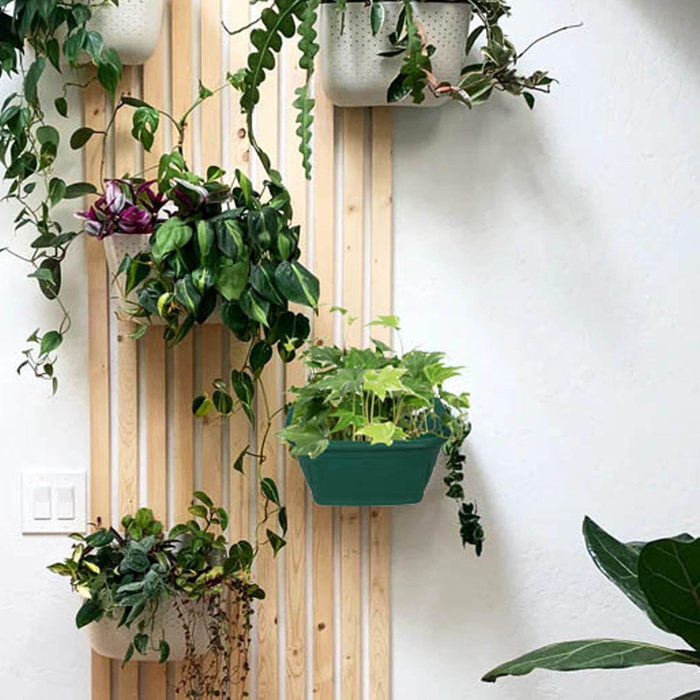 Whitefurze G02054 31cm Venetian Wall Planter - Forest Green