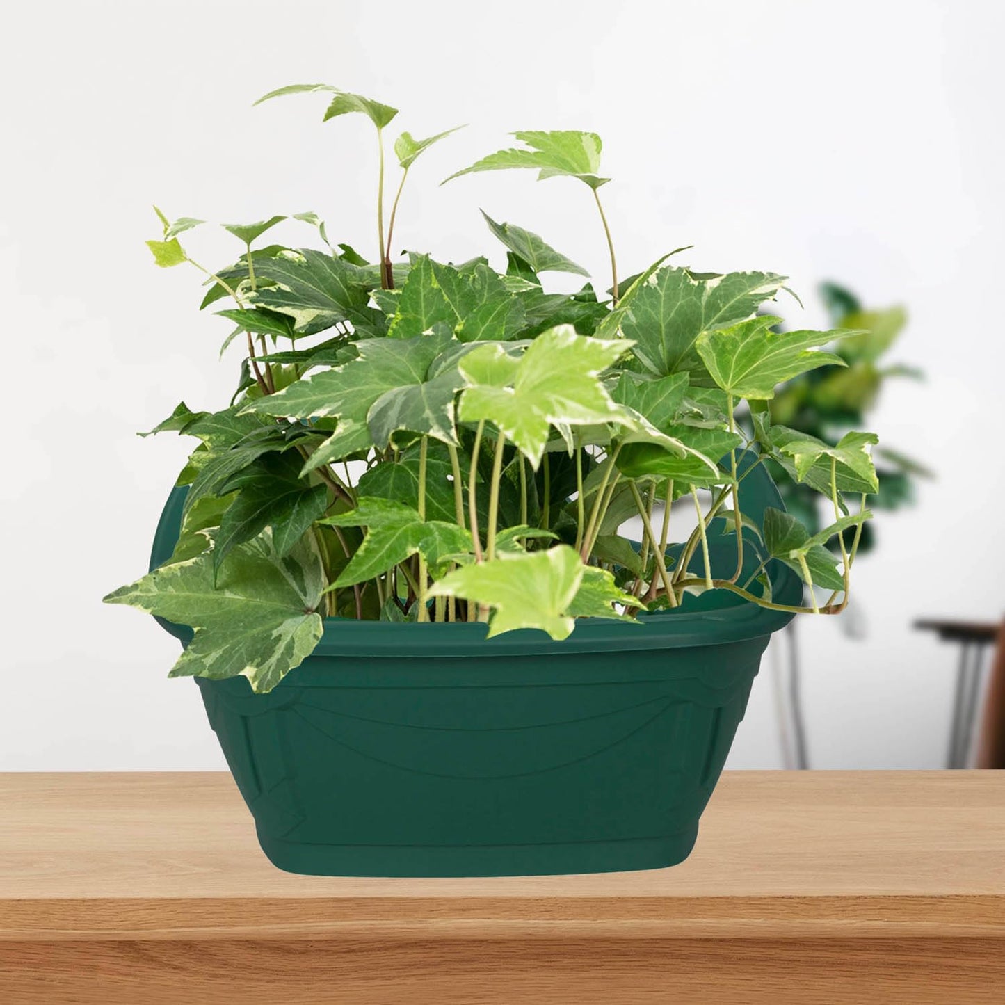 Whitefurze G02054 31cm Venetian Wall Planter - Forest Green