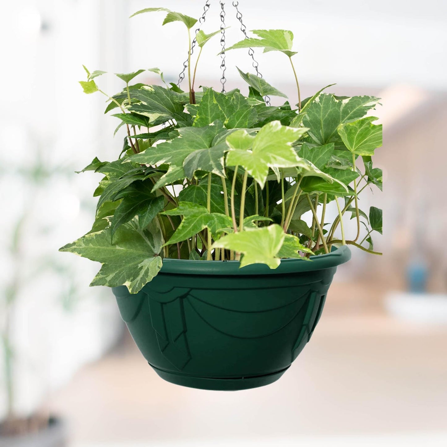 Whitefurze G02074 32cm Venetian Hanging Basket - Forest Green