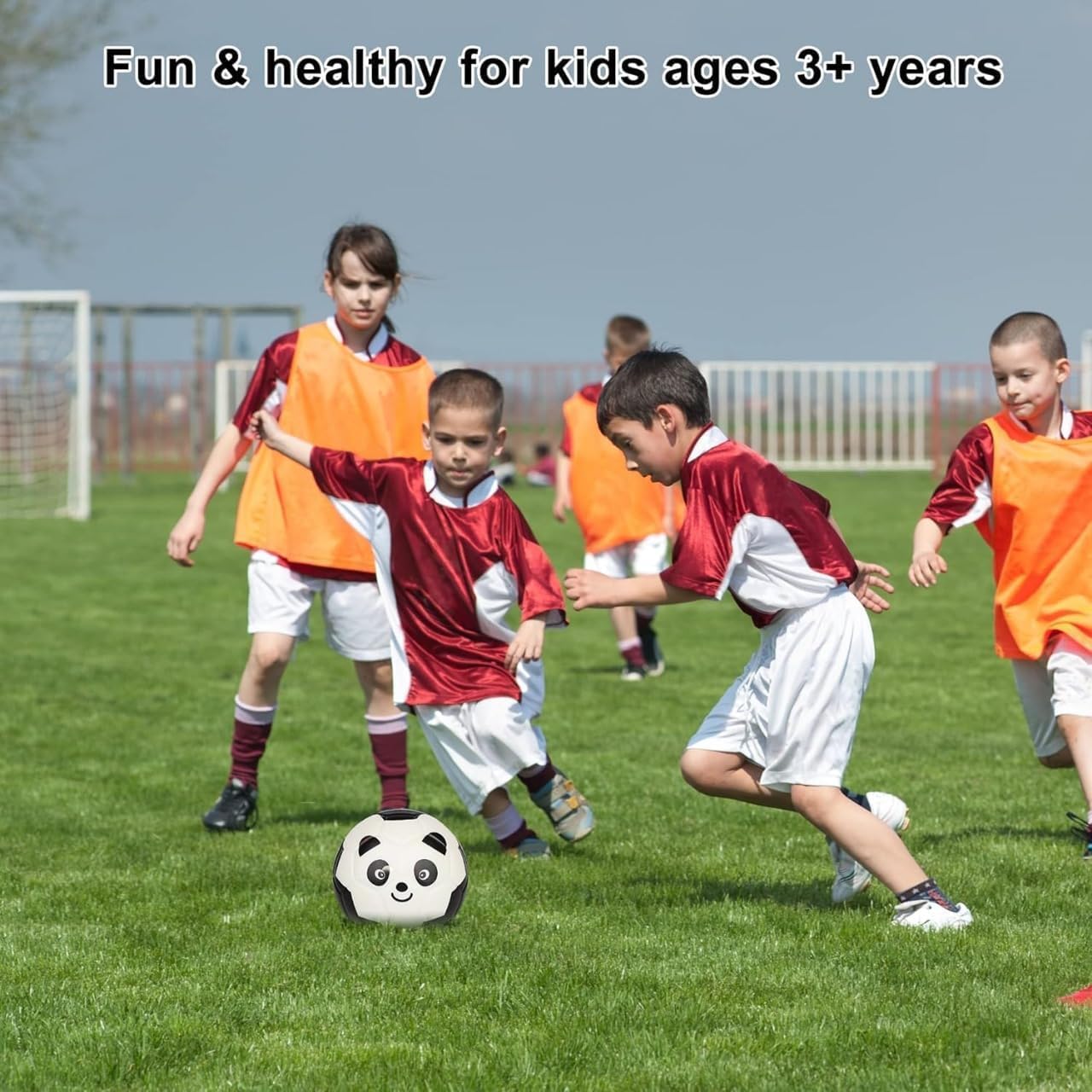 shopior 6 Inches Mini Soccer,Cute Animal Design Soft Foam Ball For Kids, Soft and Bouncy,Perfect Size For Kids Playing