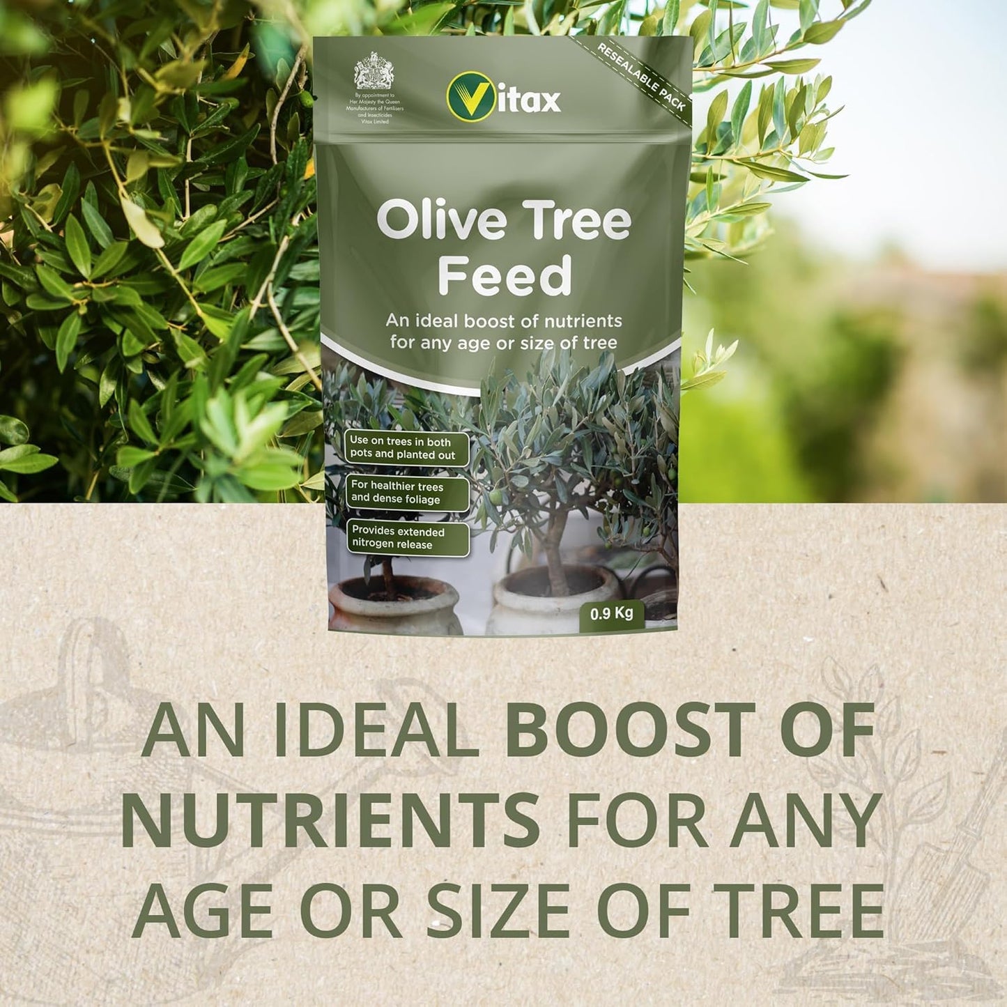 Olive Tree Feed, Suitable For Borders, Pots & Containers, Encourages Healthy Growth, Plant Food, and Garden Products – 900 g (Single Pack)
