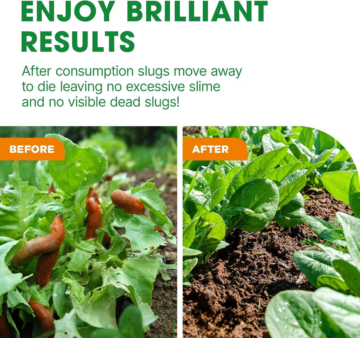 Doff Slug & Snail Killer - 400g Slug Pellets for Garden - Ferric Phosphate Slug and Snail Pellets - Long Lasting Pest Control in Damp Conditions for Up to 14 Days - Crop Friendly