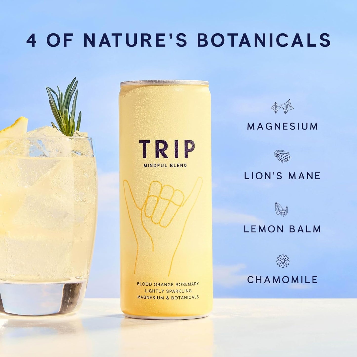 TRIP Mindful Blends - Mixed Pack Sparkling Drink with 1440MG Magnesium + Lion’s Mane + Chamomile + Lemon Balm. Low Calorie and Vegan (Pack of 12 x 250ml)