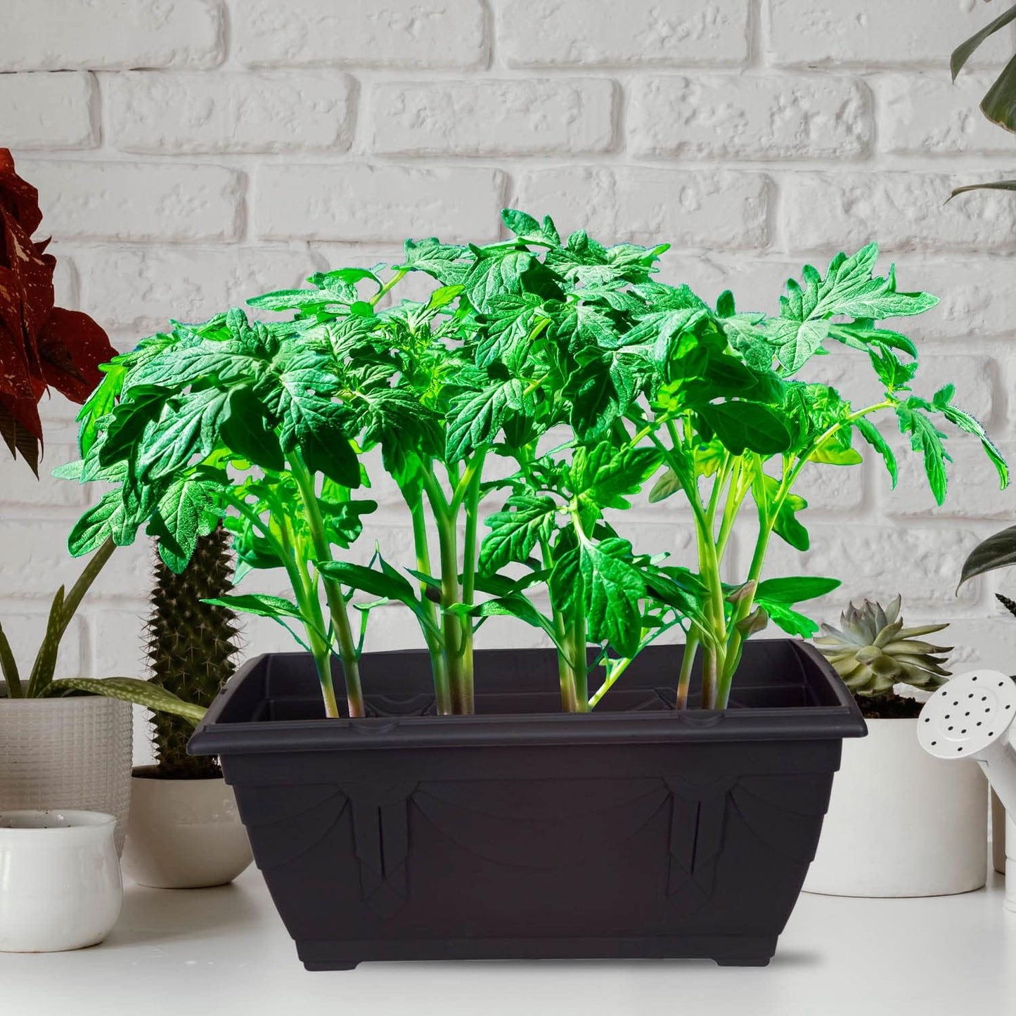 Whitefurze G02064 60cm Venetian Patio Planter - Forest Green