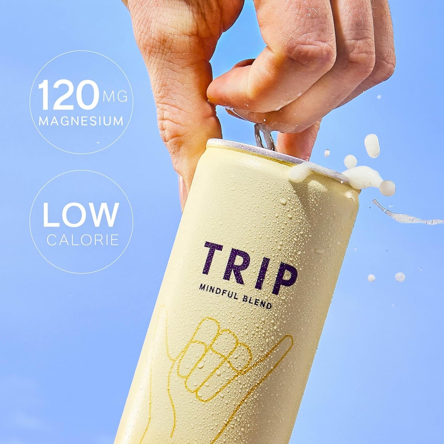 TRIP Mindful Blends - Mixed Pack Sparkling Drink with 1440MG Magnesium + Lion’s Mane + Chamomile + Lemon Balm. Low Calorie and Vegan (Pack of 12 x 250ml)