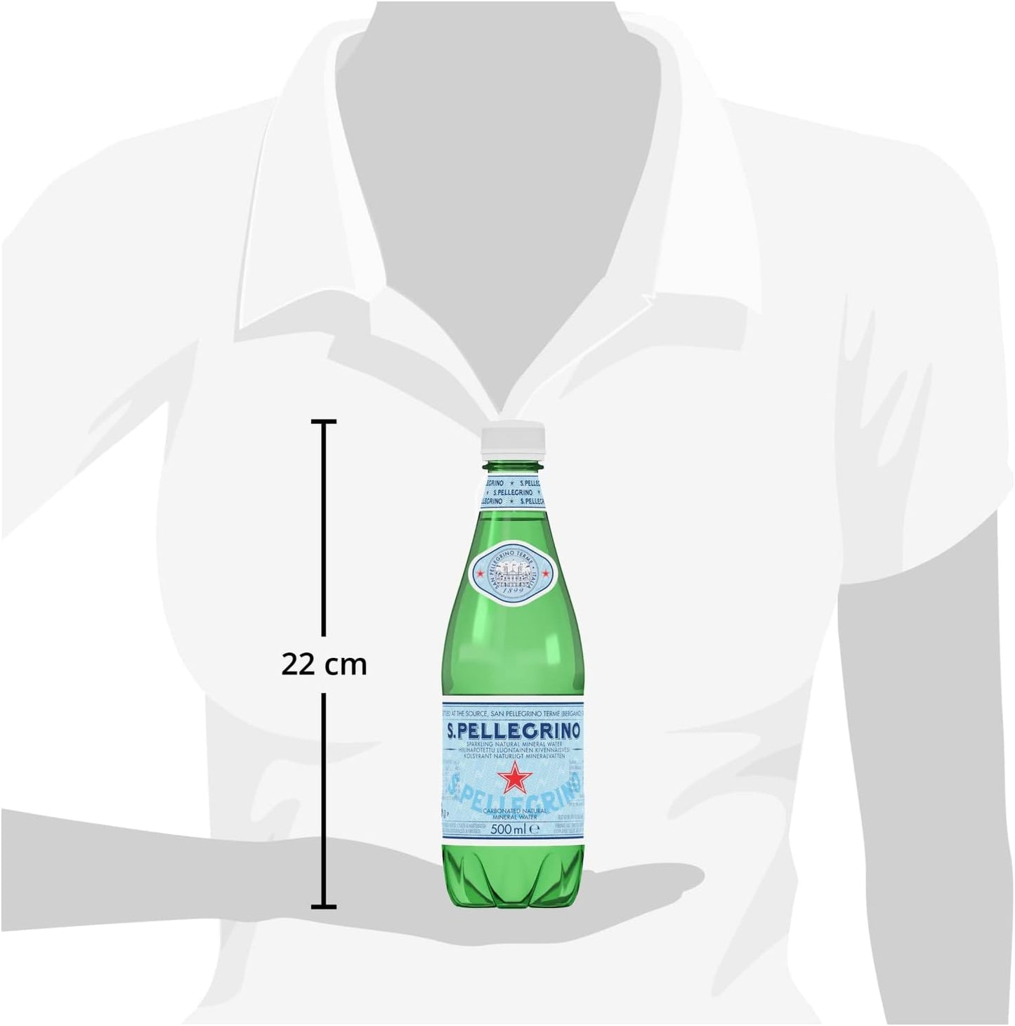 San Pellegrino Sparkling Natural Mineral Water 12x500ml