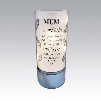 David Fischhoff Family Members Light Up Memorial Light Tube Sparkly Shimmering Indoor Decoration Mum