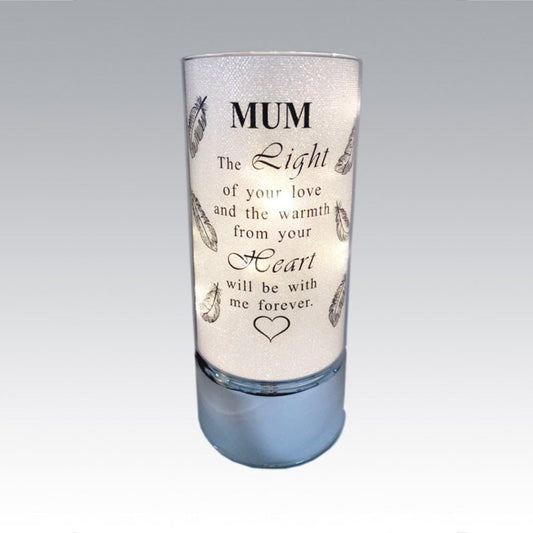 David Fischhoff Family Members Light Up Memorial Light Tube Sparkly Shimmering Indoor Decoration Mum