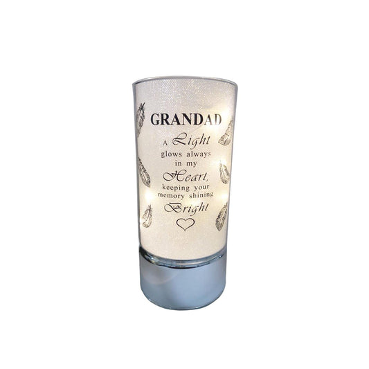 David Fischhoff Family Members Light Up Memorial Light Tube Sparkly Shimmering Indoor Decoration Grandad