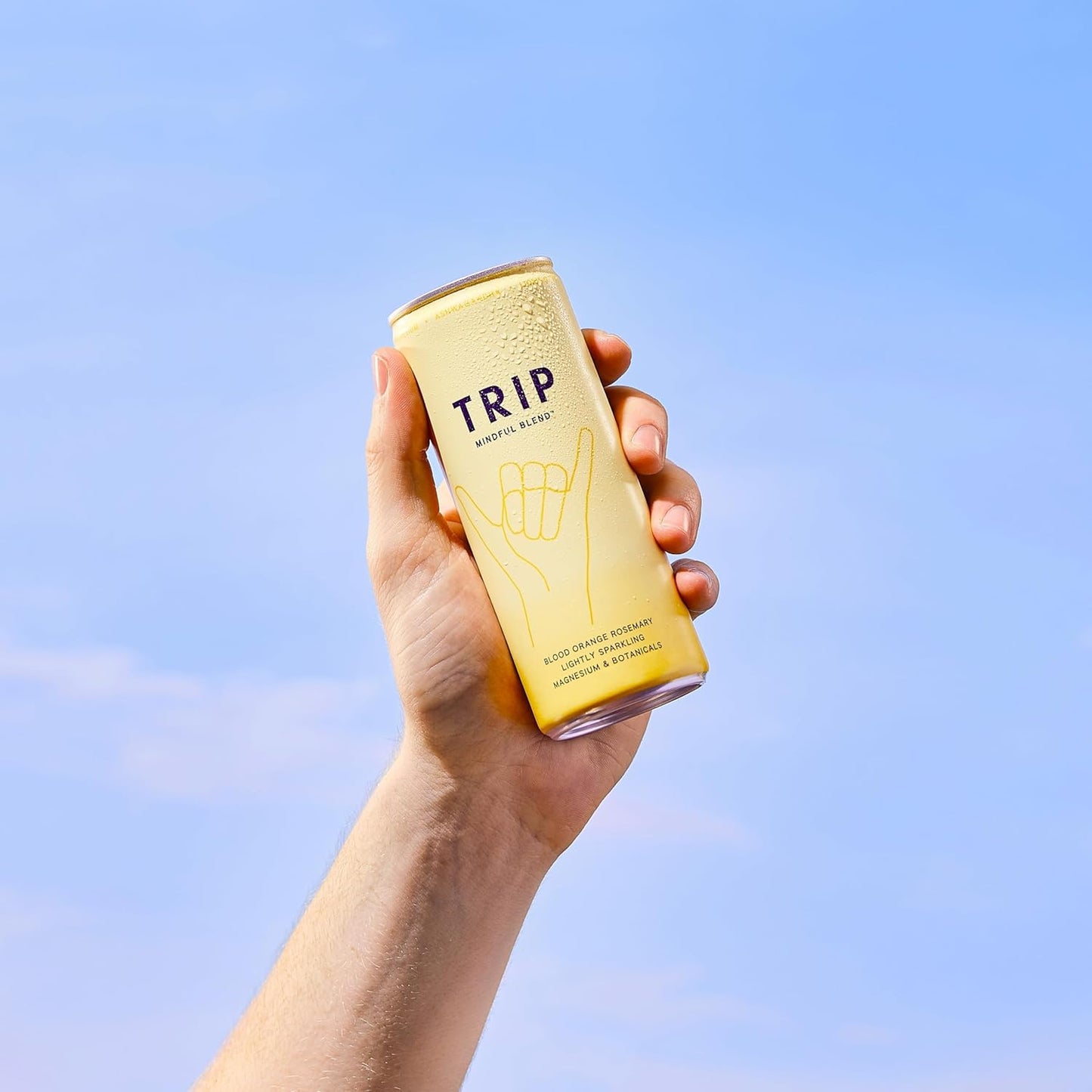 TRIP Mindful Blends - Blood Orange Sparkling drink with 1440MG Magnesium + Lion’s Mane + Chamomile + Lemon Balm. Low Calorie, No Added Sugar and Vegan (Pack of 12 x 250ml)