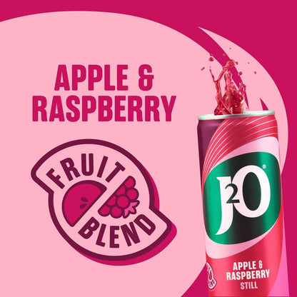 J2O Fruit Juice, Apple and Raspberry, 250ml Cans (Pack of 12)