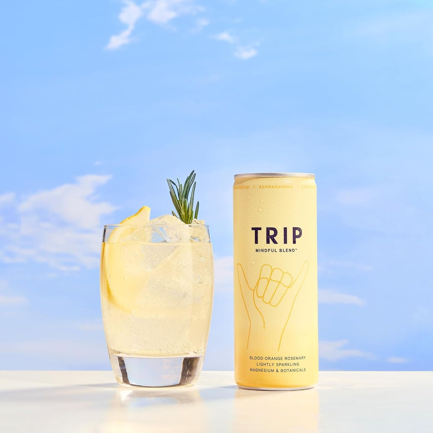 TRIP Mindful Blends - Blood Orange Sparkling drink with 1440MG Magnesium + Lion’s Mane + Chamomile + Lemon Balm. Low Calorie, No Added Sugar and Vegan (Pack of 12 x 250ml)