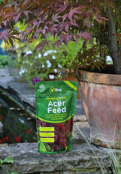 Acer Feed, Suitable For All Japanese Maple In Borders, Pots & Containers, Promotes For Strong Healthy Growth - 900 Grams (Pack of 3)