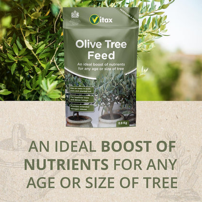 Olive Tree Feed, Suitable For Borders, Pots & Containers, Encourages Healthy Growth, Plant Food, and Garden Products – 900 g (Single Pack)