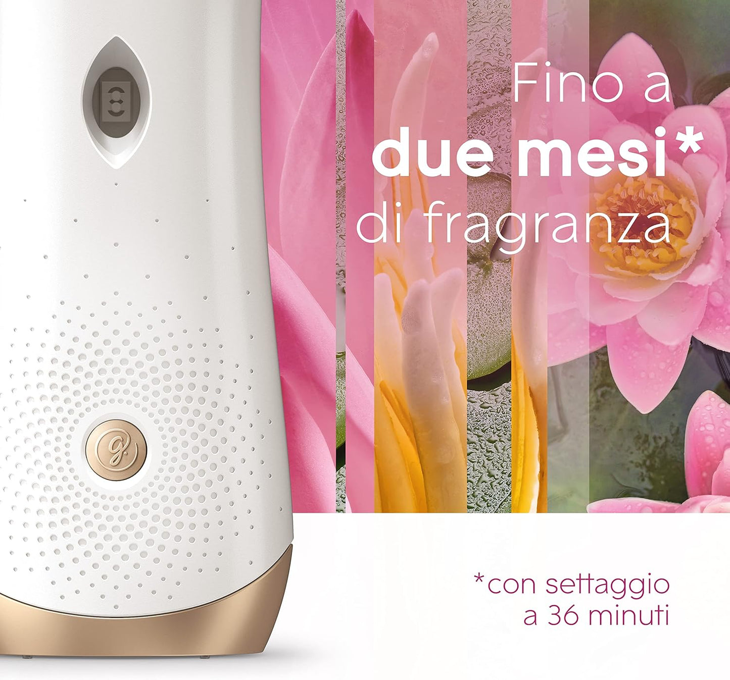 Glade Automatic Spray Refill, Air Freshener, Relaxing Zen Fragrance, Stock Size of 4 Refills 269 ml