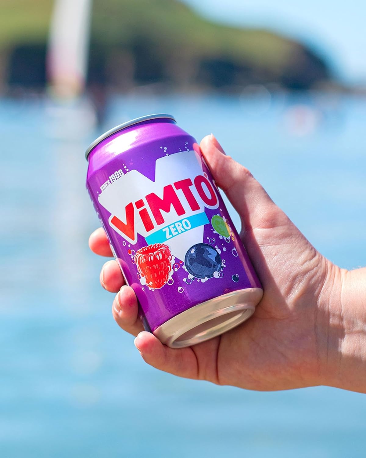 Vimto Original Real Fruit, Blackcurrant, Grape & Raspberry - No Added Sugar Fizzy Fruity Soft Drink - Multipack Cans (24 X 330ml)