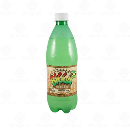 Bigga Fruit Flavoured Soft Drink Variety | Tropical Sparkling Fizzy Summer Party