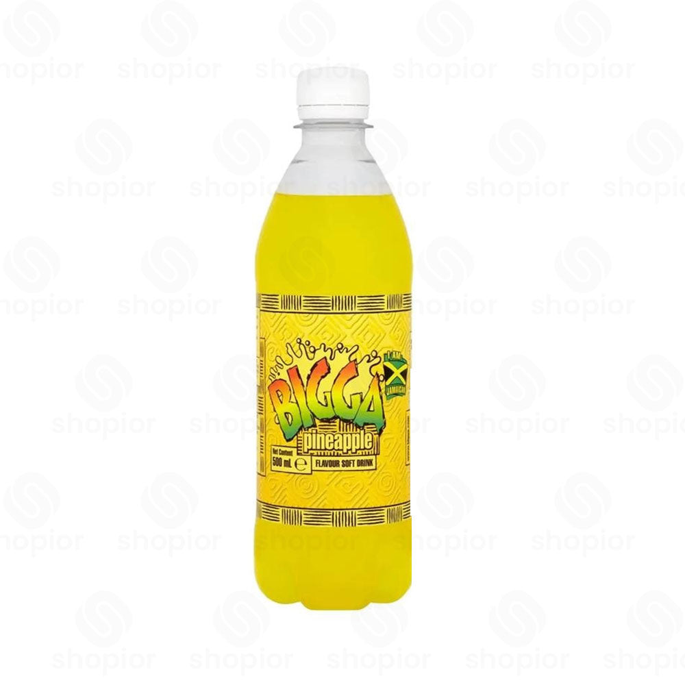 Bigga Fruit Flavoured Soft Drink Variety | Tropical Sparkling Fizzy Summer Party