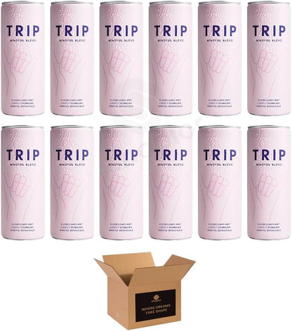 Calming Drink | 120mg Magnesium with Lion’s Mane, Chamomile Lemon Balm